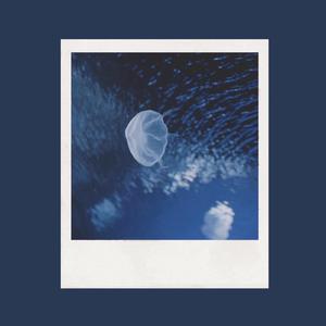 丰满女人裸做爰视频
