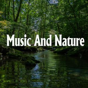 丰满女人裸做爰视频
